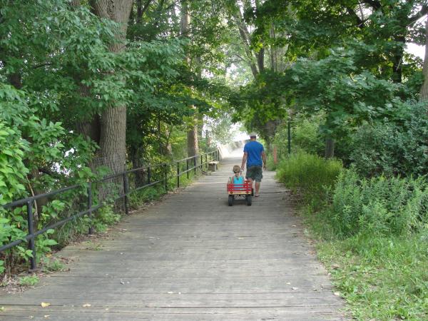 Toronto's Waterfront, The Island - Open Book Explorer Tours