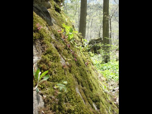 Geological Wonders of Southern Ontario