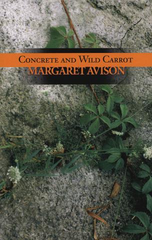 Concrete and Wild Carrot