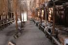 Longhouse