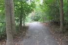 Walking Path