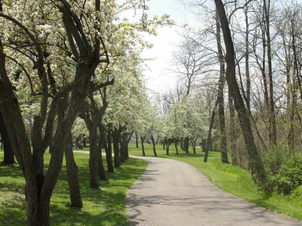 Niagara Parkway Biking Tour - Open Book Explorer