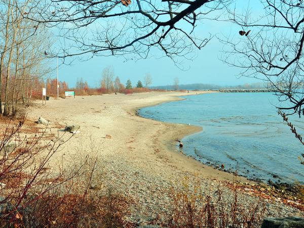 Ward's Island Beach - Open Book Explorer Tours