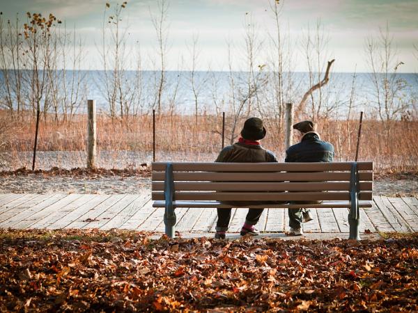 Toronto's Waterfront, The Beach - Open Book Explorer Tours