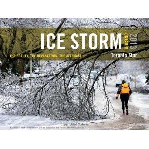 Ice Storm, Ontario 2013: The Beauty, the Devastation, the Aftermath